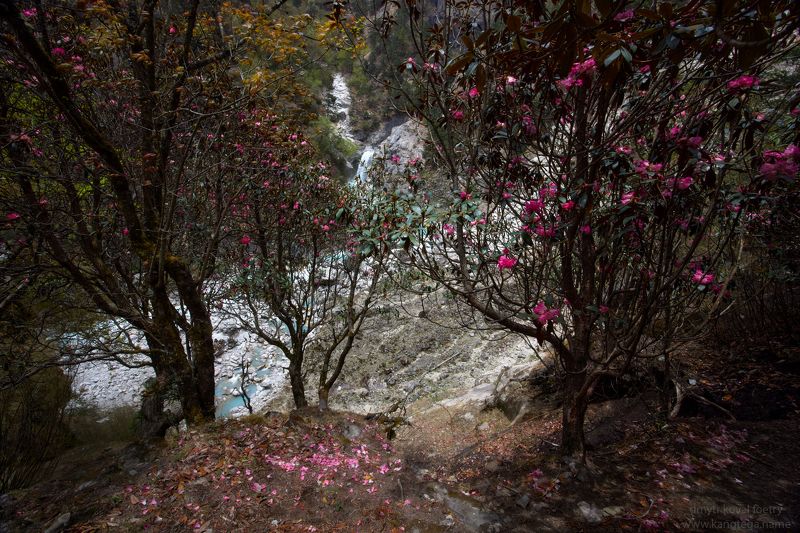 пейзажемагьё, пейзаж-как-виденье Фоэзия стихшего ветра … фото превью