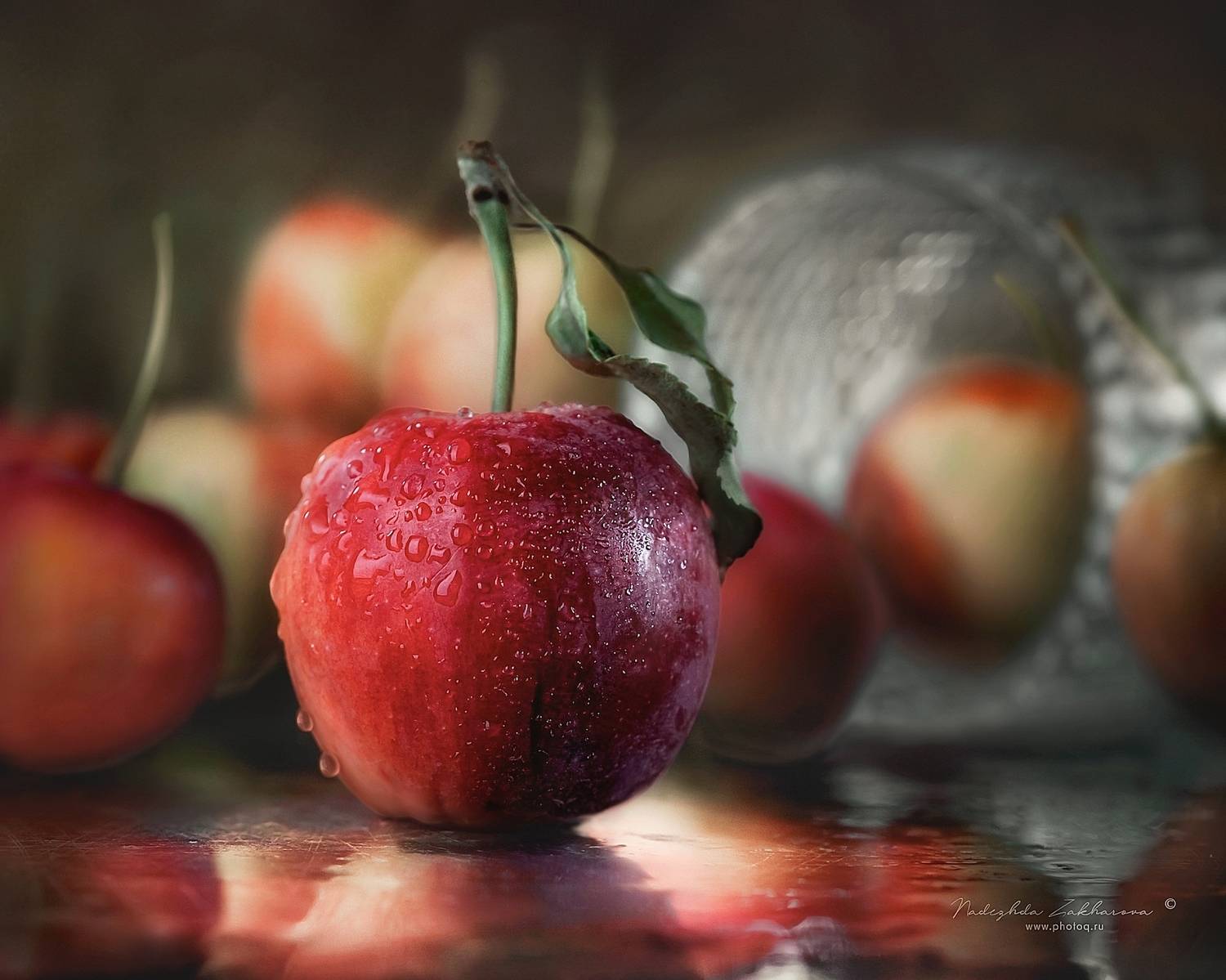 , Захарова Надежда