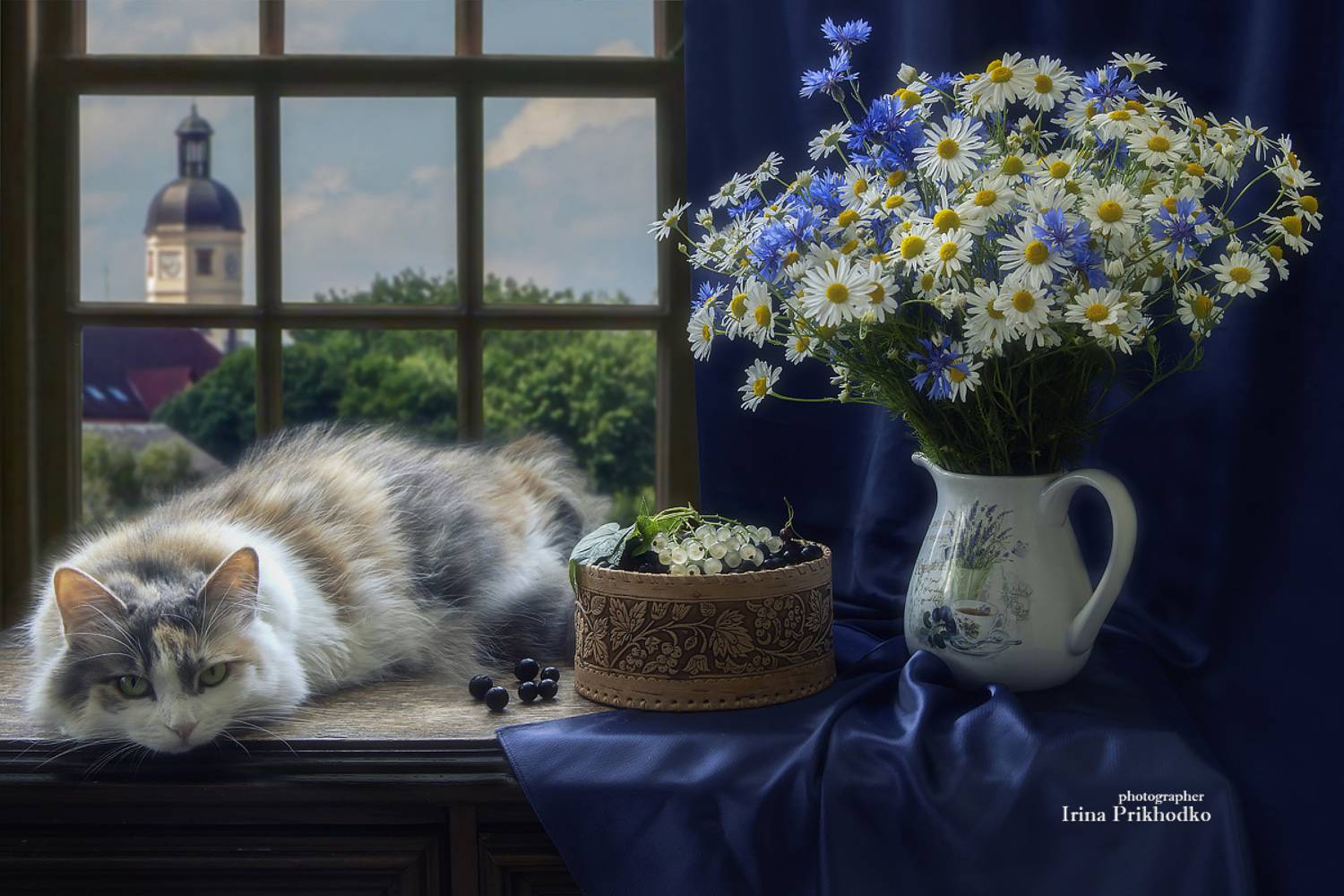 натюрморт, лето, цветы, букеты, смородина, полевые цветы, кошка, Приходько Ирина