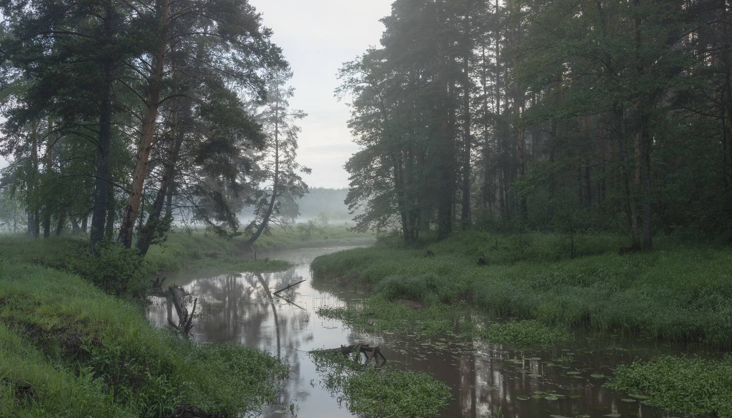 туман, река, Бонина Ольга