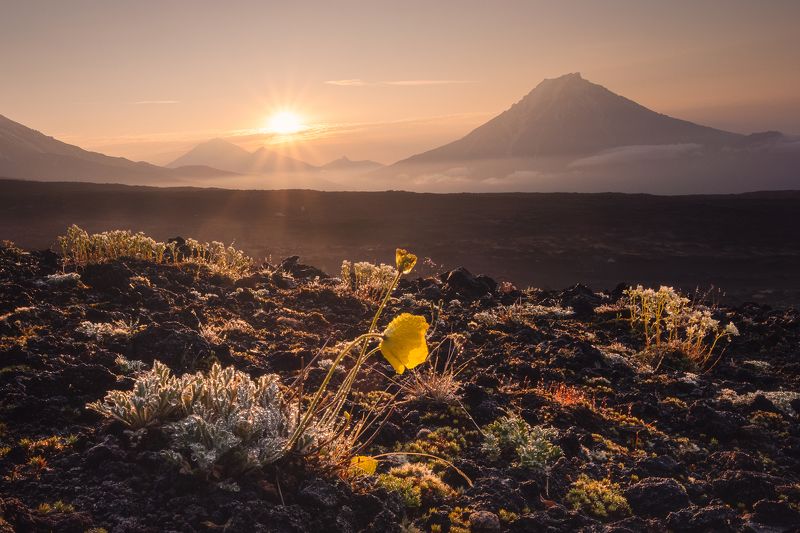 Udina фото превью