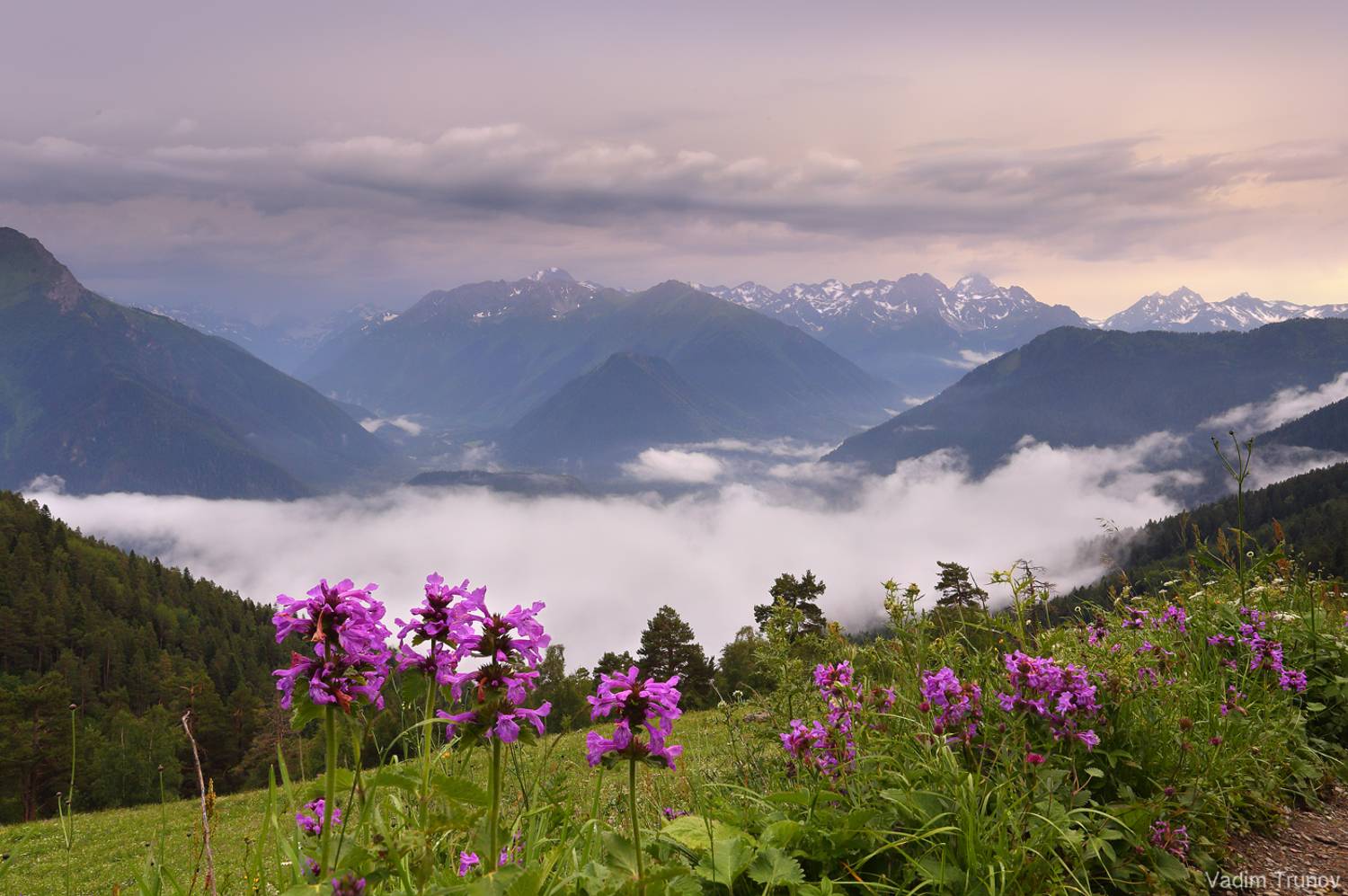 , Вадим Трунов