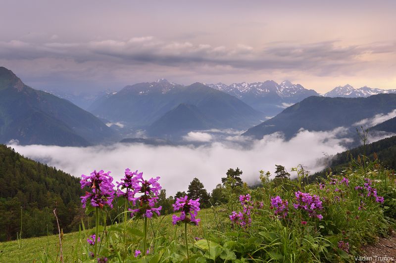 После дождя фото превью