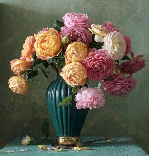 Как нежно розы расцвели