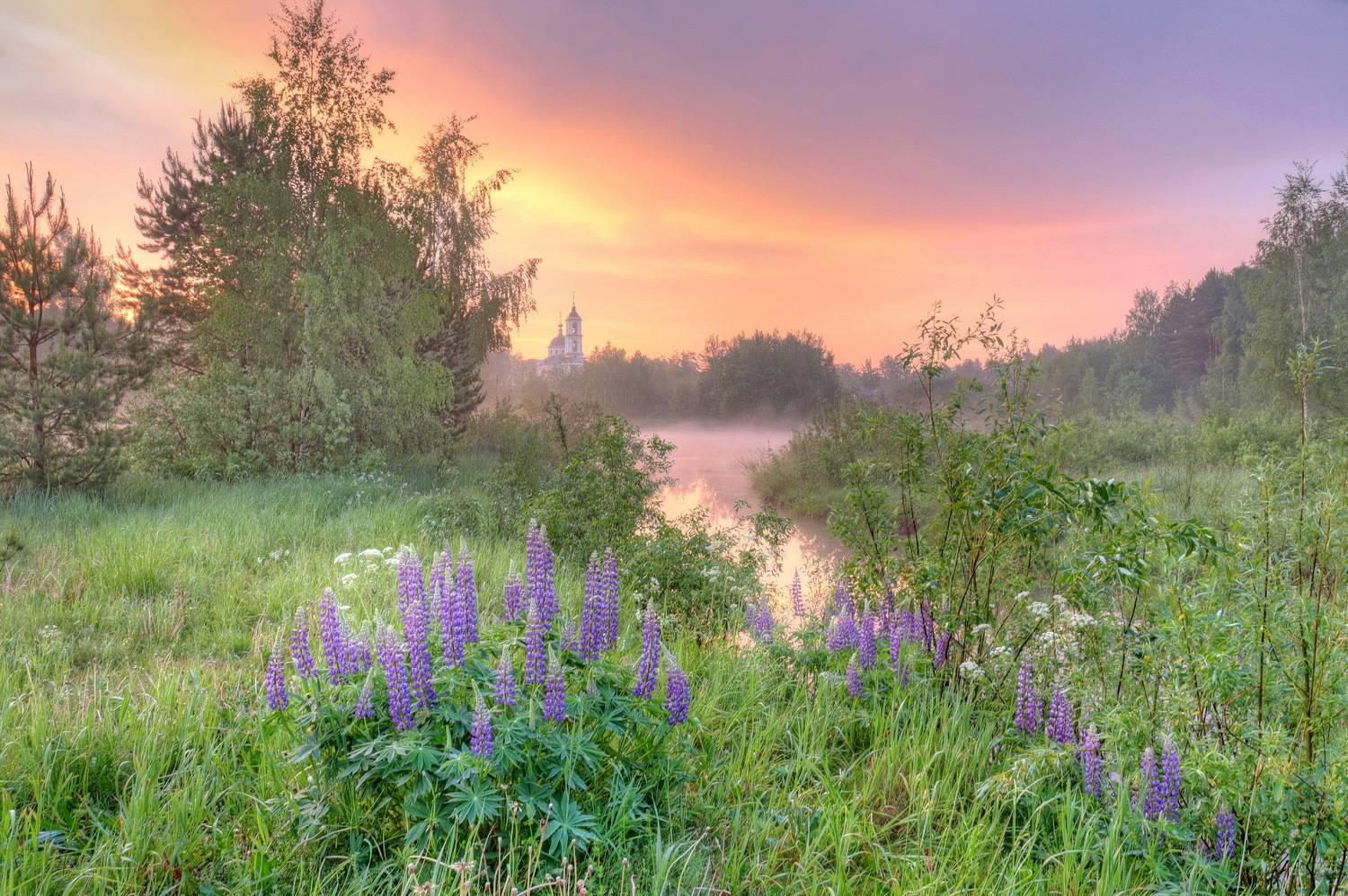 , Добролюбова Тамара