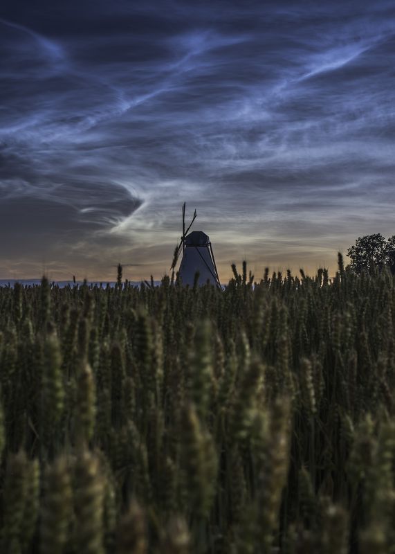 *** фото превью