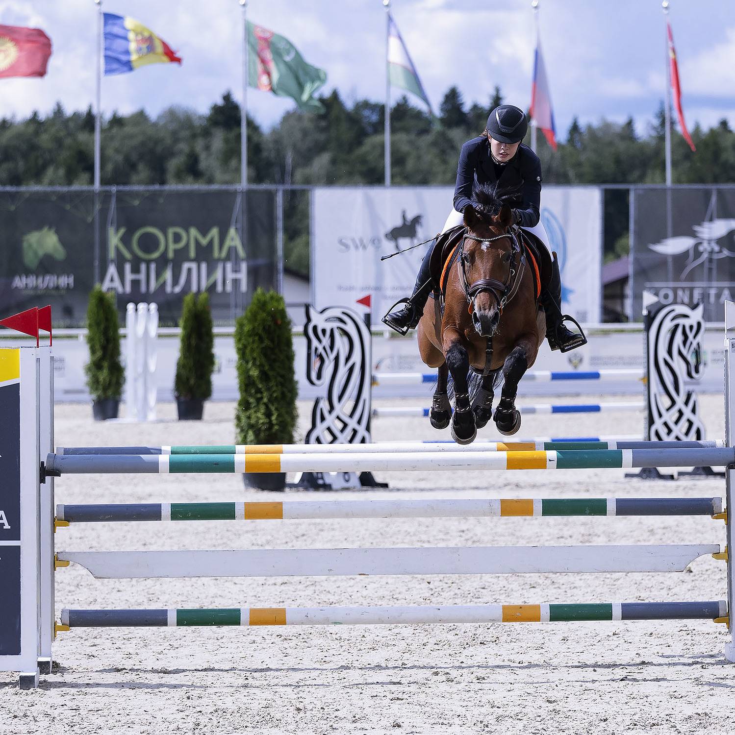 конкур, соревнования, спорт, horses, sport, movement, competition, jump, Стукалова Юлия