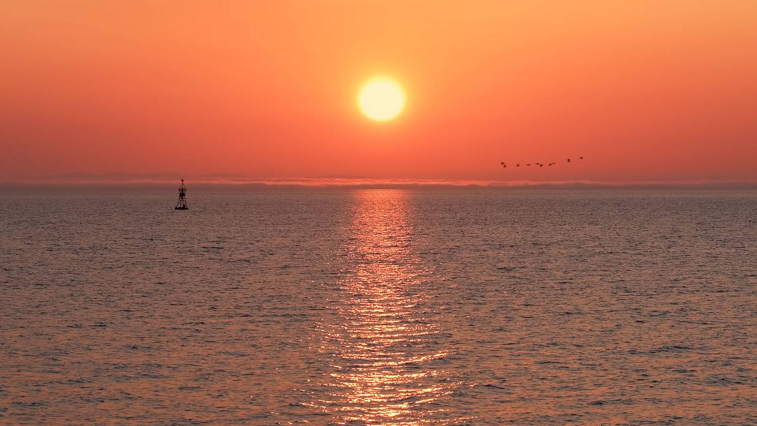 сахалин, закат, буй, птицы, тихий океан, Евгений Паршуков