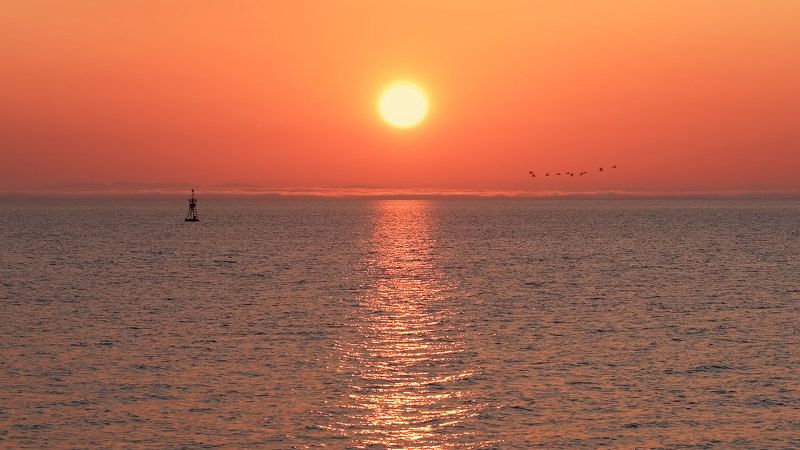 сахалин, закат, буй, птицы, тихий океан в Тихом океане.. фото превью