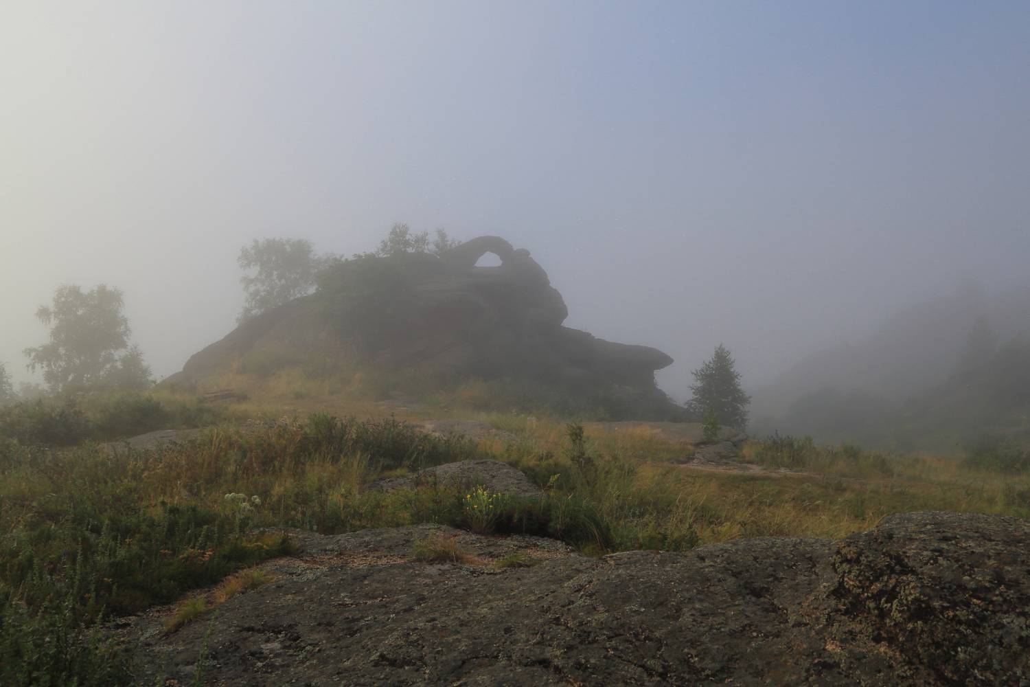 , Евгений Зинов