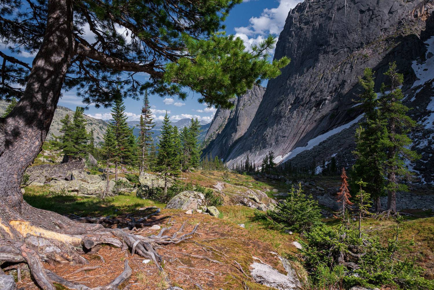 , Алексей Кретов