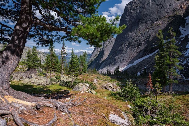 летом в Ергаках фото превью