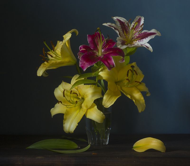 фото превью