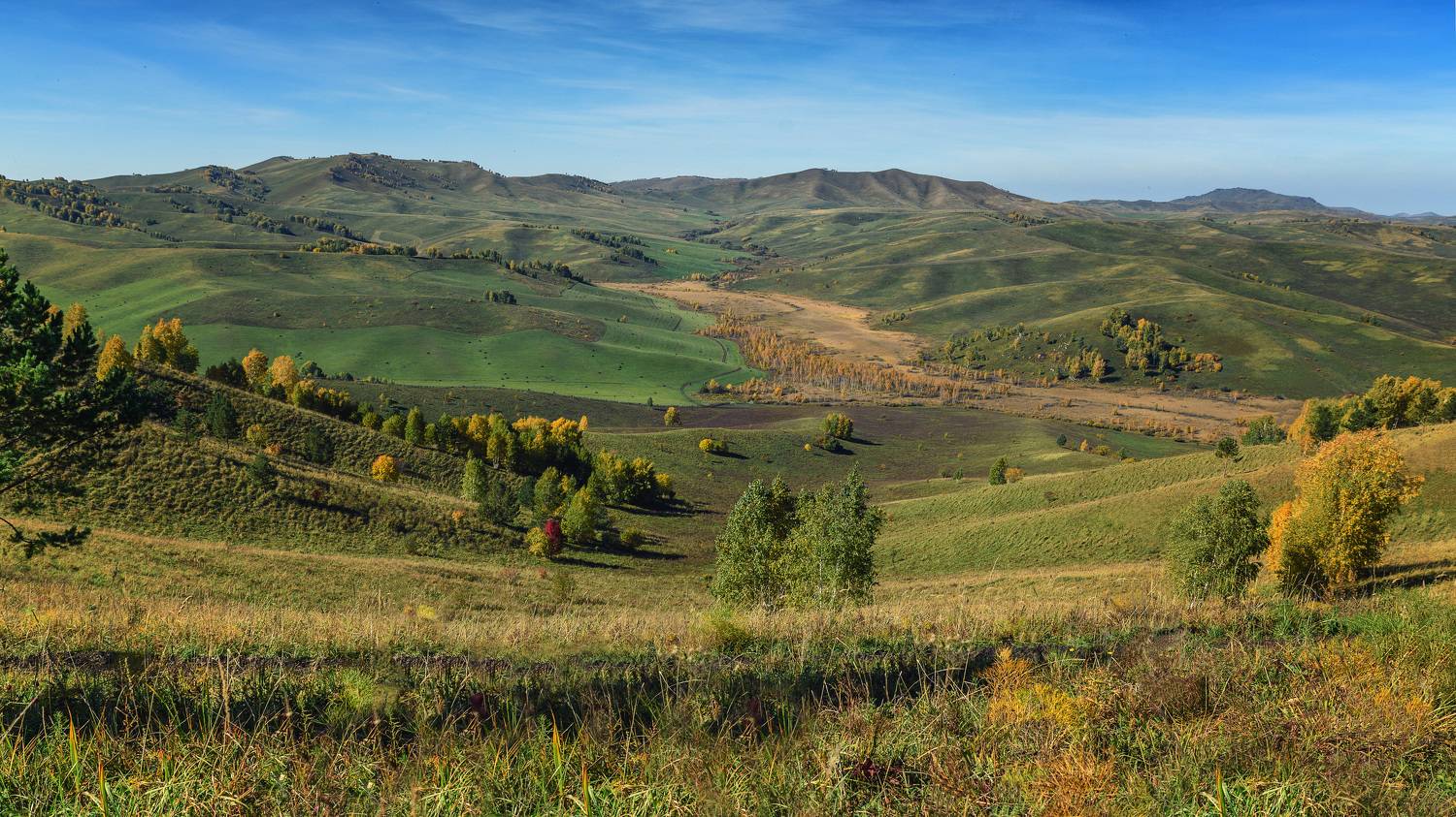 , Рагинская Ольга