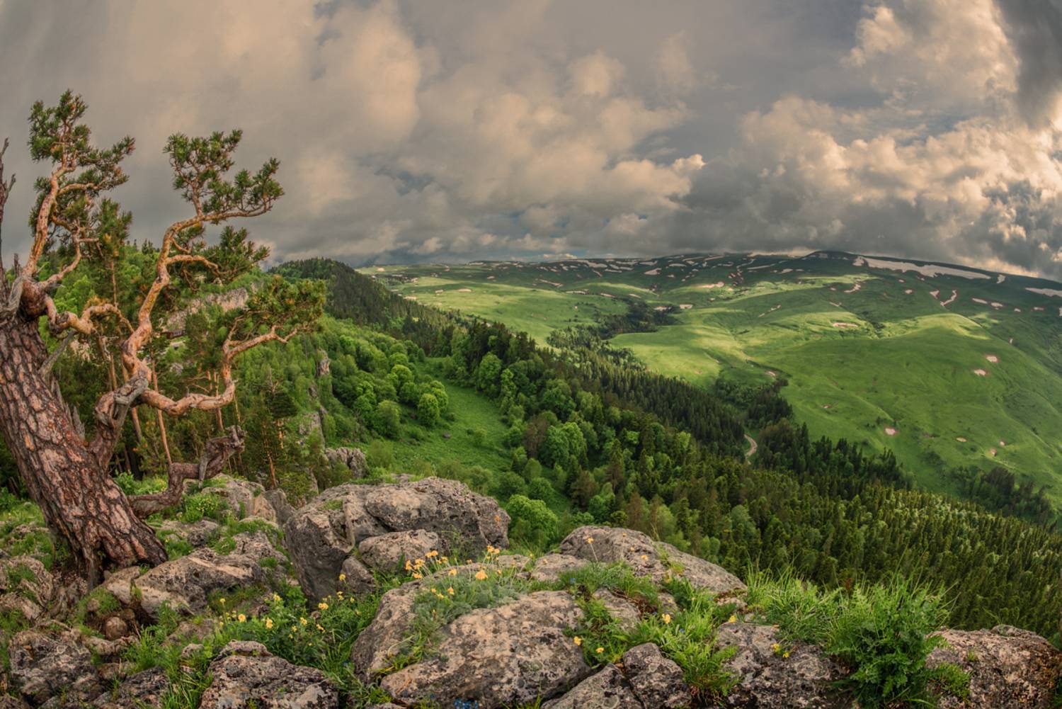 плато, горы, лес, Anatoly