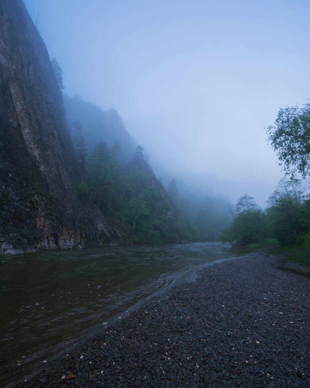 , Алексей Проняхин