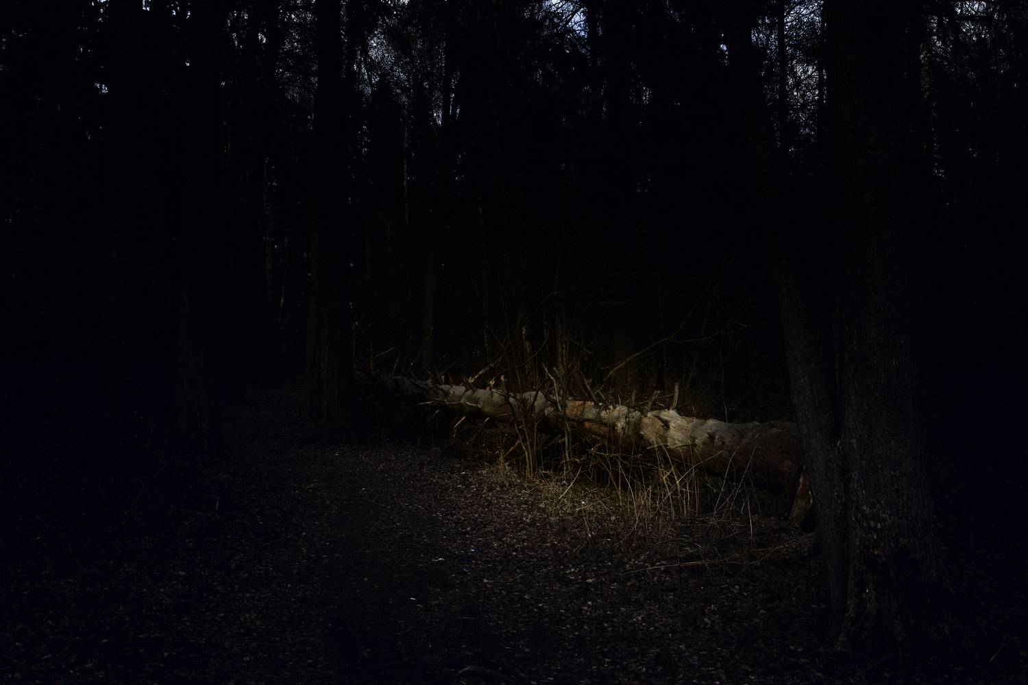 , Булатов Дмитрий