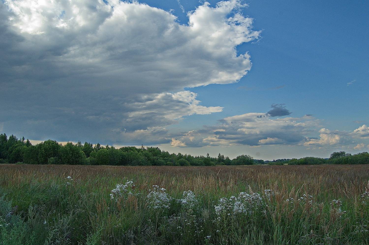 , Николаев Владимир