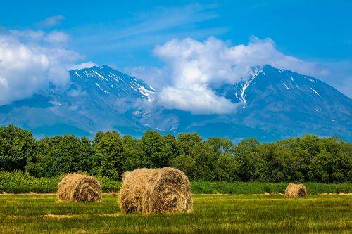 Сенокос на Камчатке