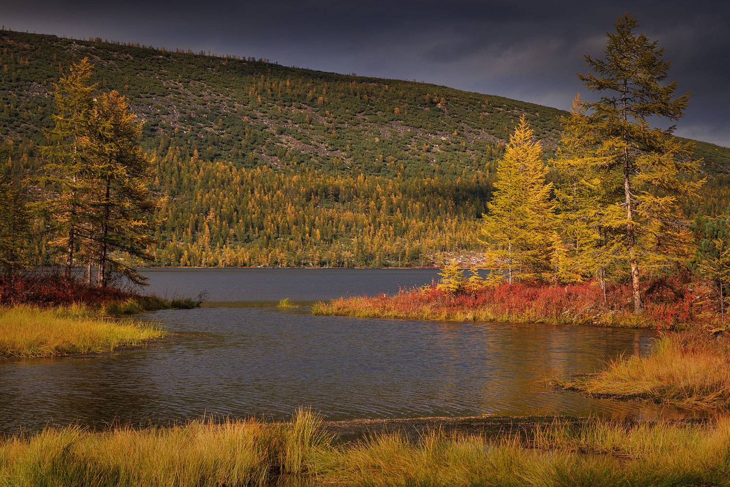 , Морозов Сергей