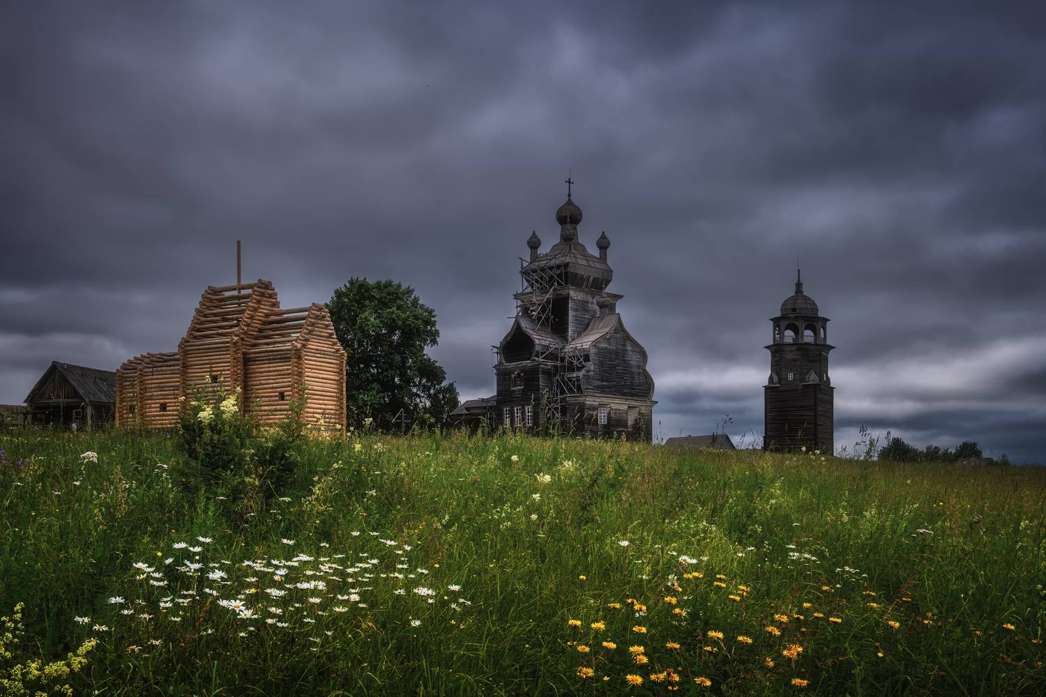 , Максим Евдокимов