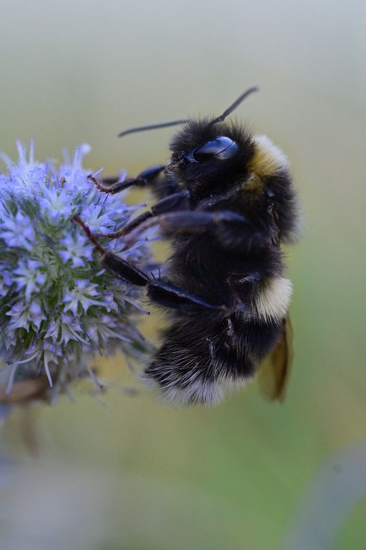 Маловато будет! фото превью