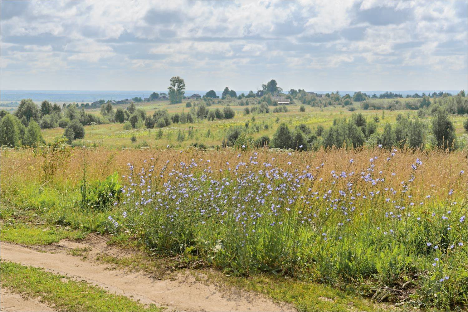 , Анатолий Гулин