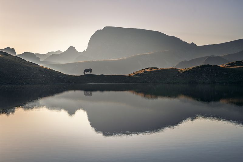 Quiet morning
