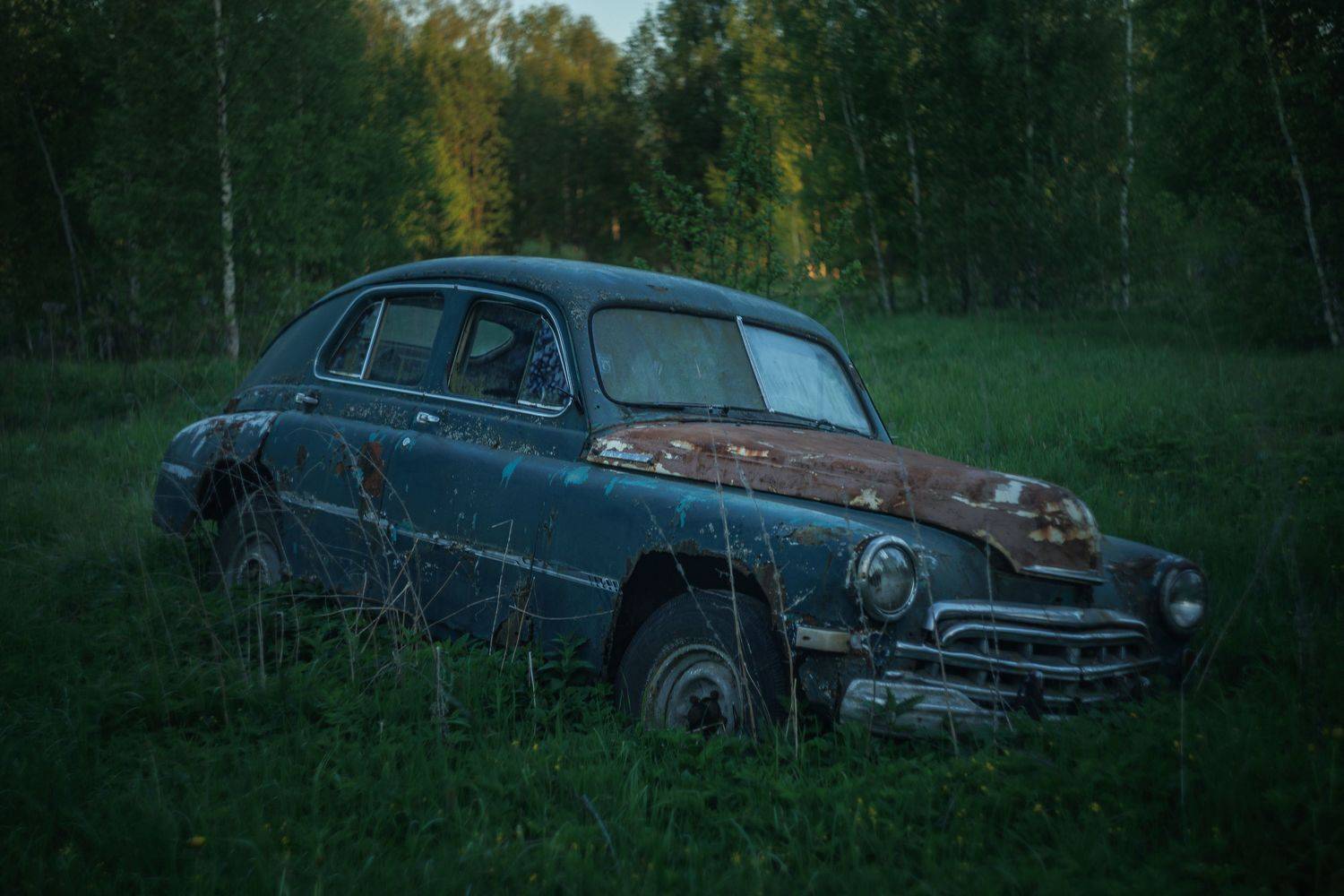 , Владимир Петухов