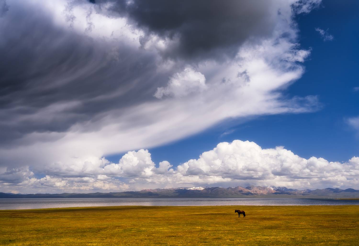 , Сергей Межин