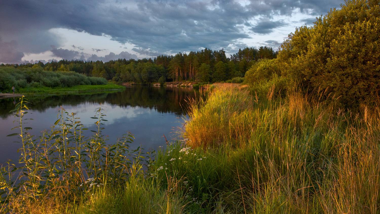 , Михаил Кушнер