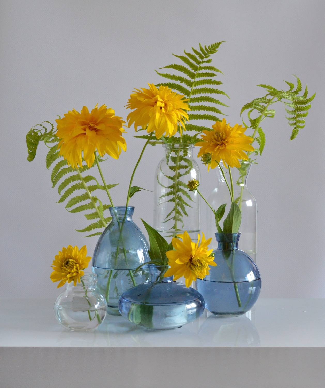 , Дина Полухина