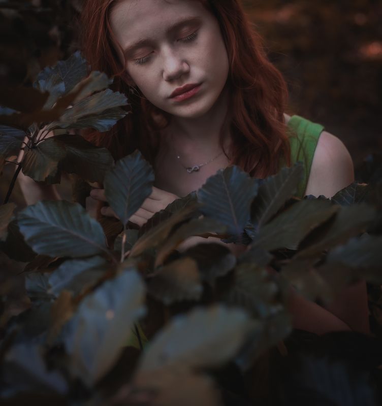 ... фото превью