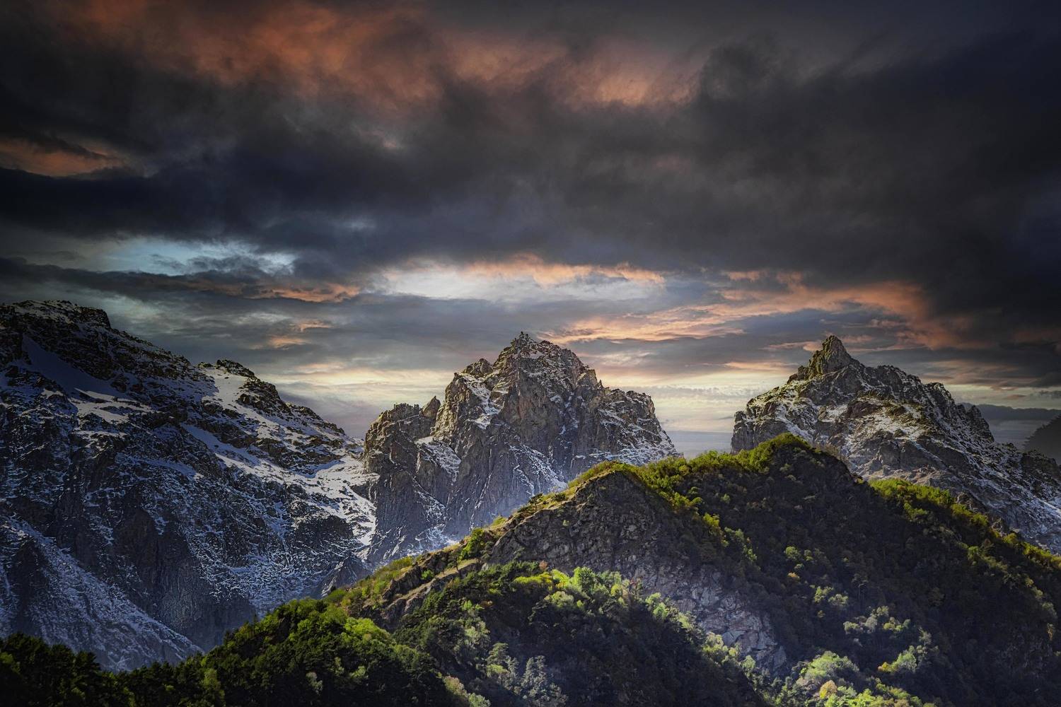 , Глухарёва Ольга