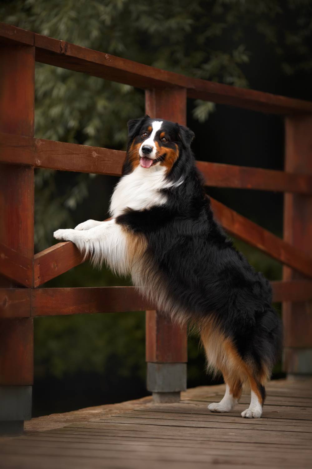 , Евгения Костусева