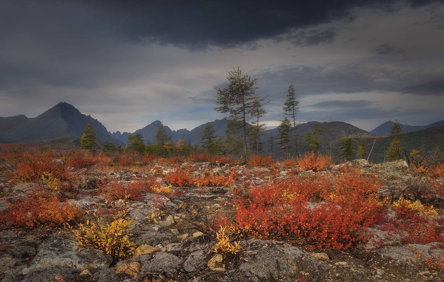 , Морозов Сергей