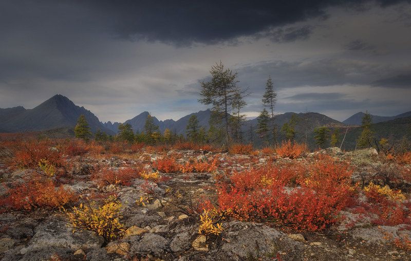 Колыма фото превью