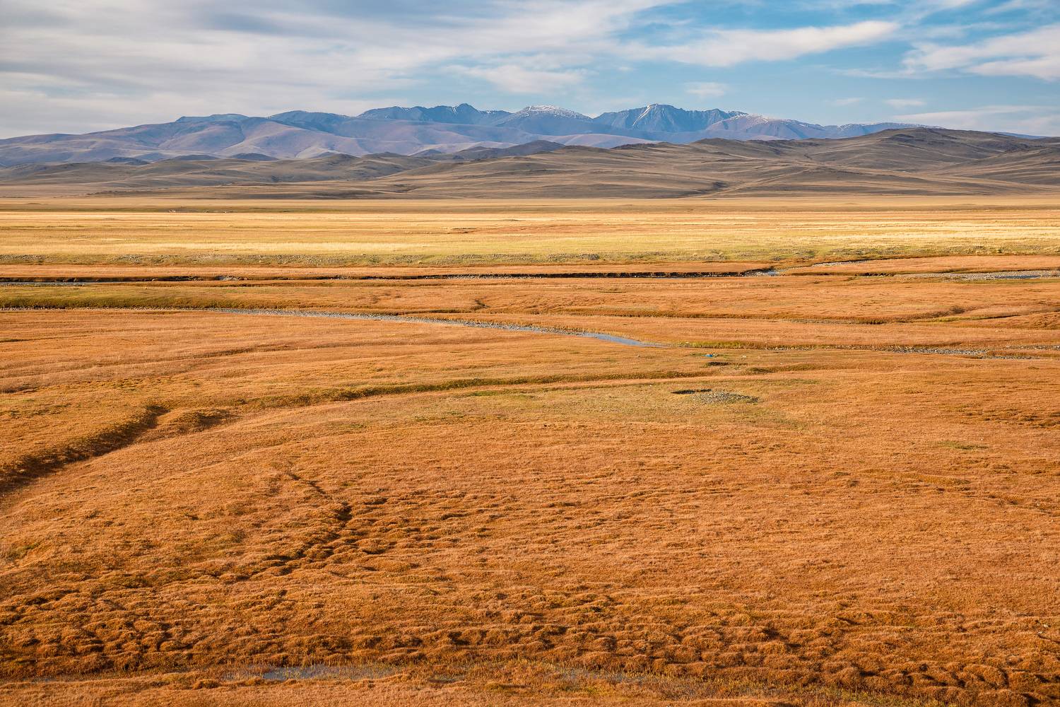 , Рагинская Ольга