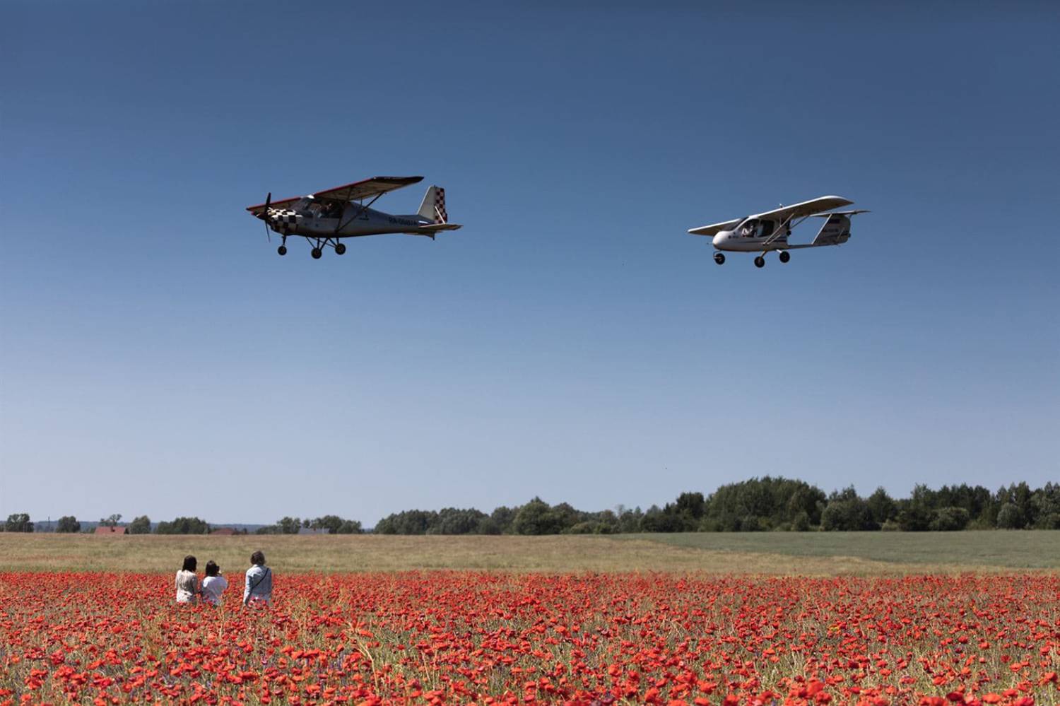 , Алексей Шамашов