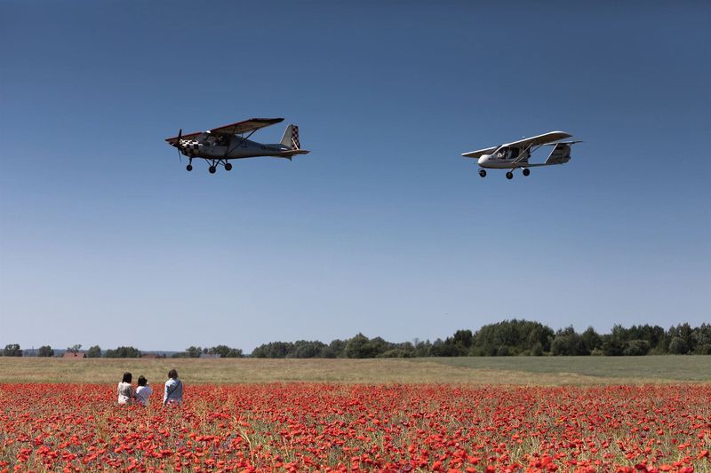 Маковая фотомания фото превью