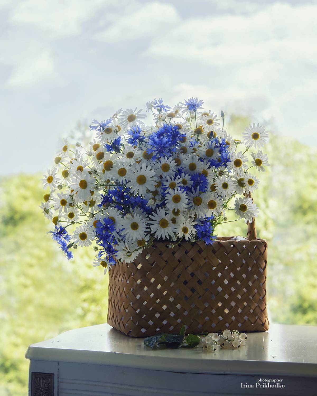 натюрморт, цветы, букеты, полевые цветы, Приходько Ирина