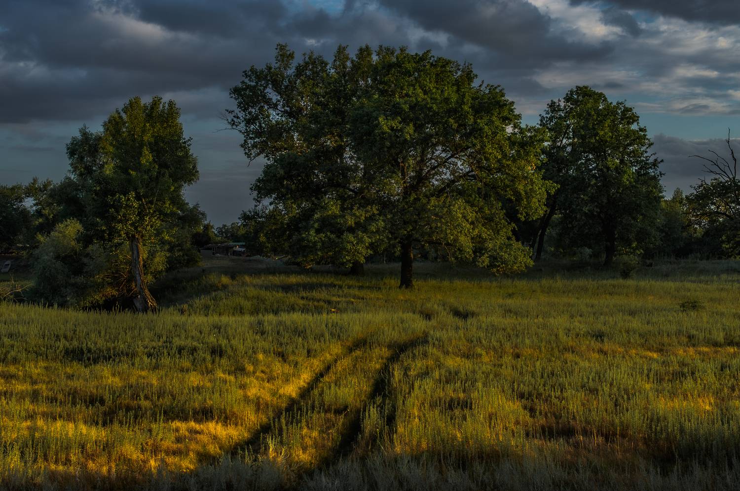 природа, пейзаж, лето, Vasilev Roman