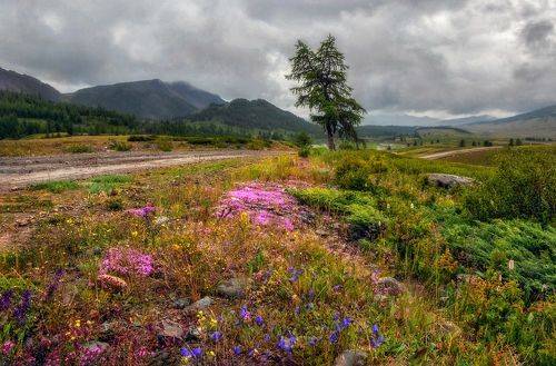 Дорогами июля...