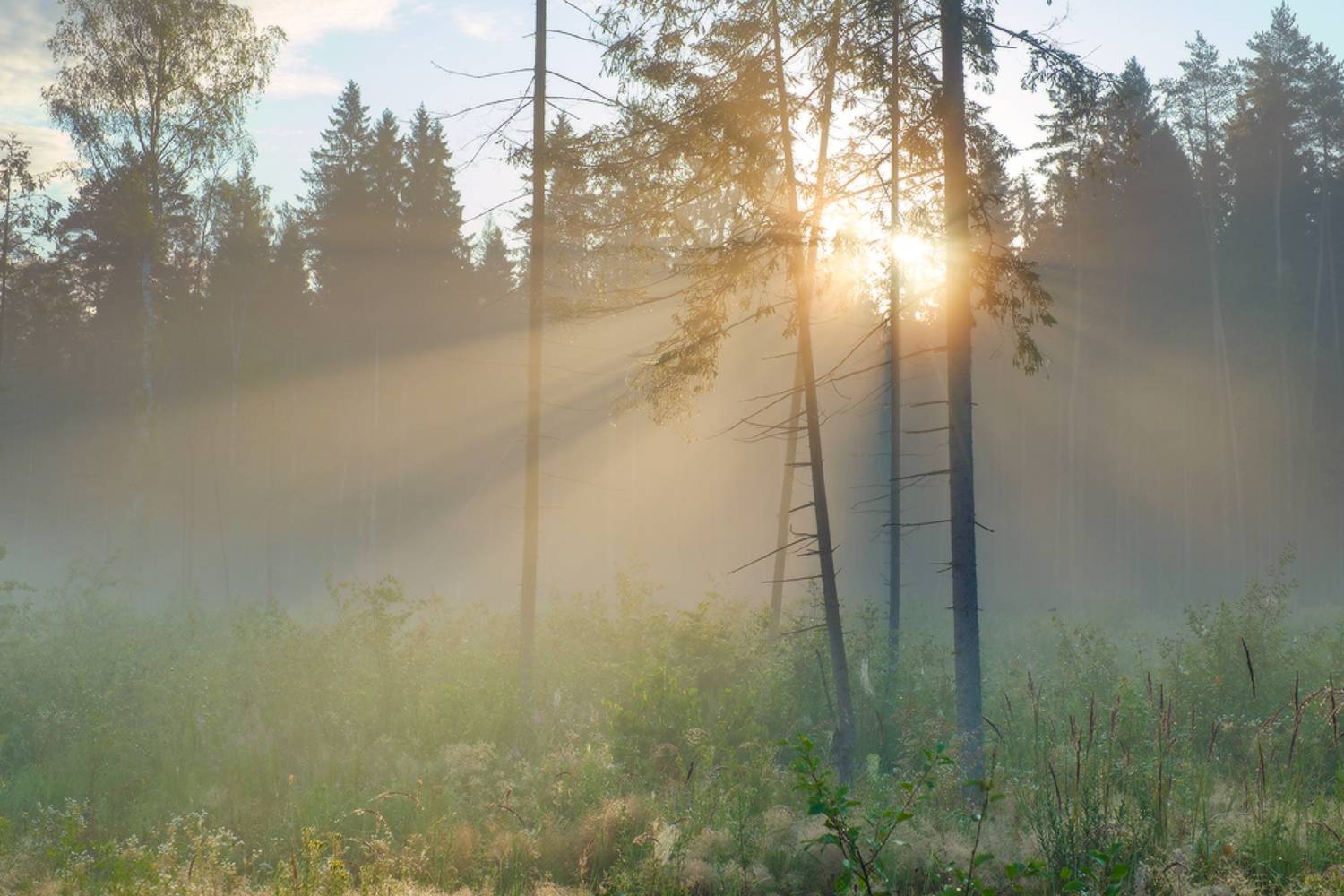Калужская обл., дер. Рыляки, Юсупов Александр