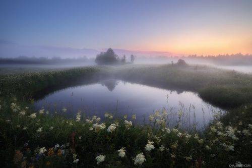 Белые туманные ночи