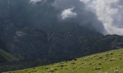 Уштулу - пастораль