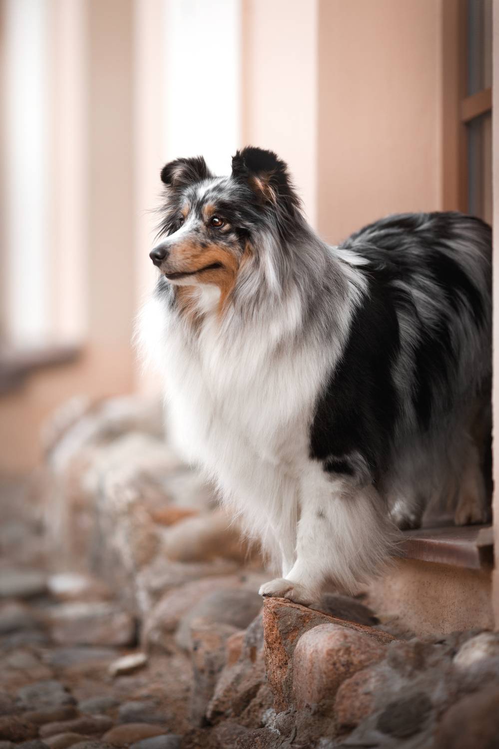 , Евгения Костусева