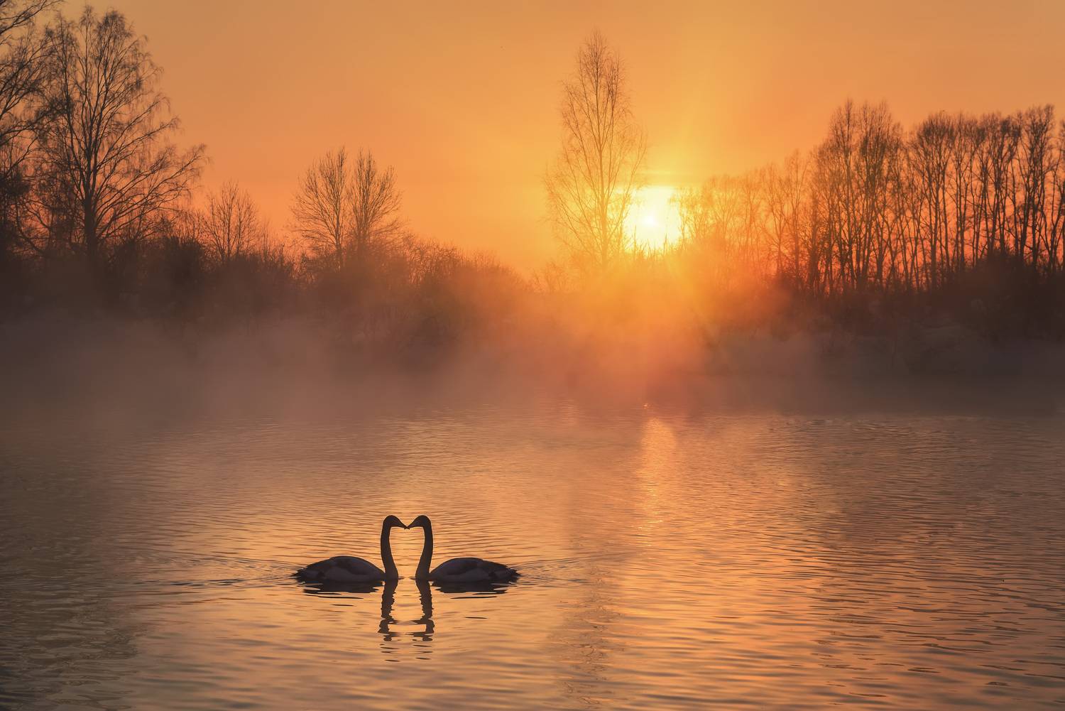 , Рагинская Ольга