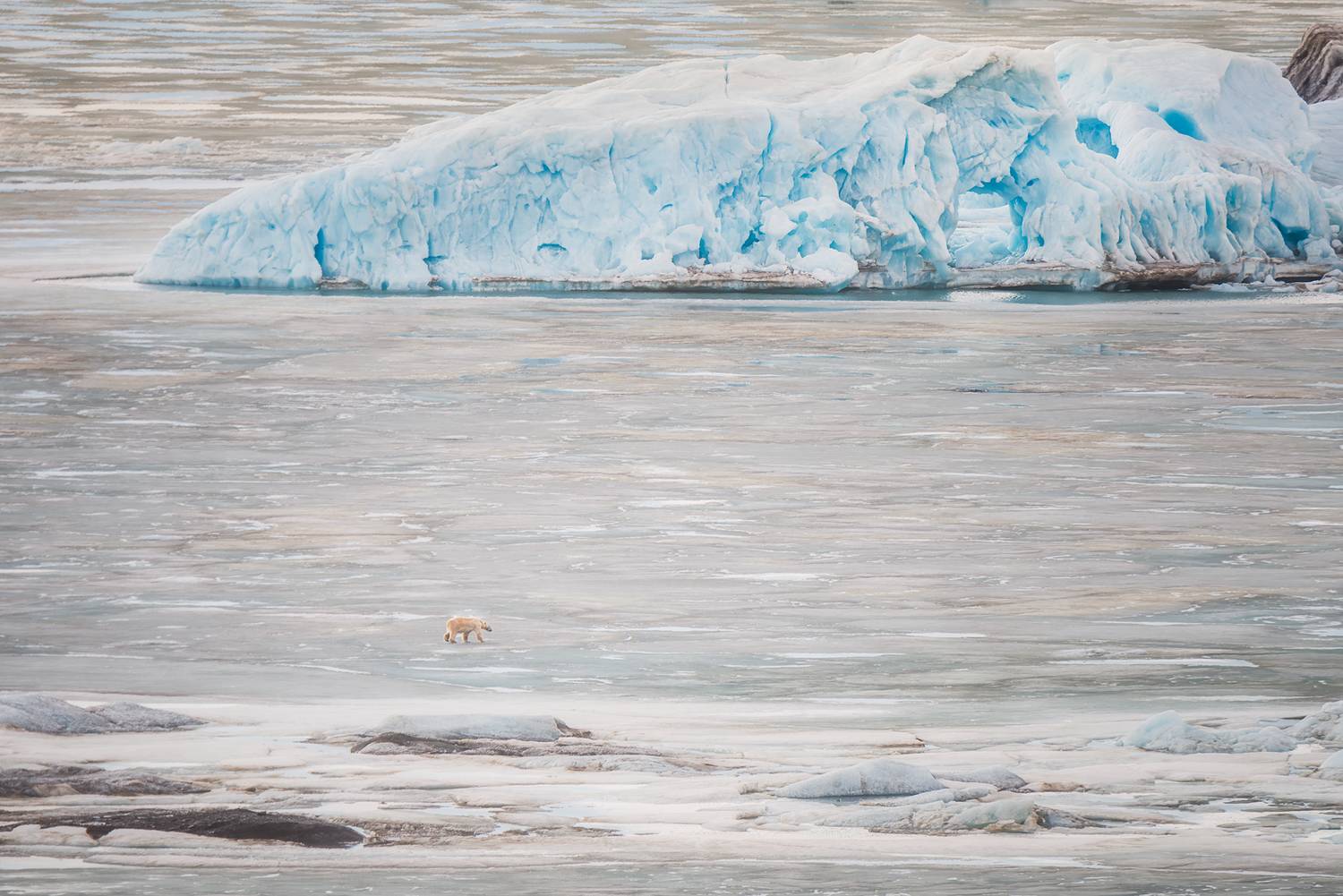 , Ермолин Александр