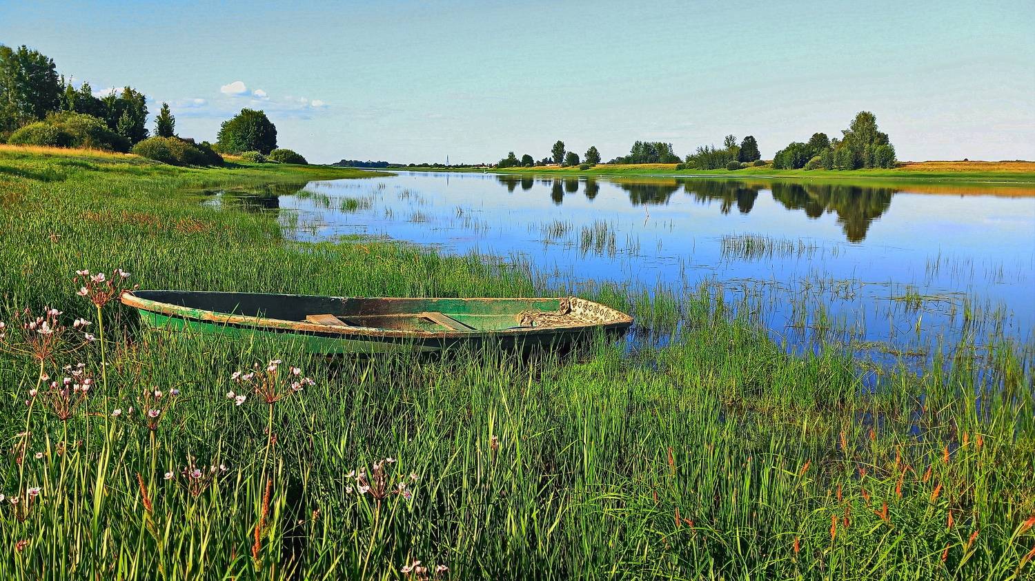 , Николаев Владимир